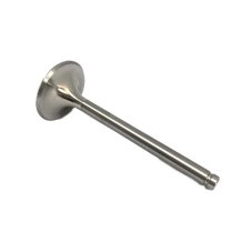 Exhaust valve 2V ICE