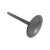 Intake valve 2V ICE Nitrid