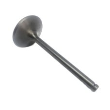 Intake valve 2V ICE Nitrid
