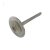 Intake valve 2V ICE