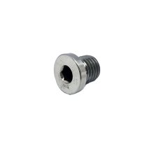 Magnet oil screw