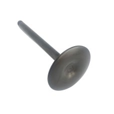 Exhaust valve 2V ICE Nitrid