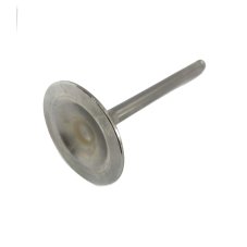 Intake valve 2V ICE