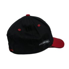 ESO Hat Black-Flexfit