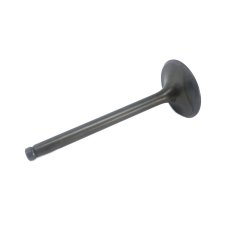Exhaust valve 2V ICE Nitrid
