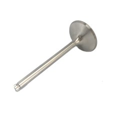 Intake valve 2V ICE