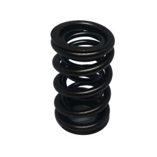 Valve spring 250 - 1pc