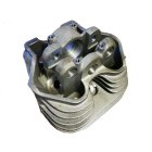 13 Cylinder & Head